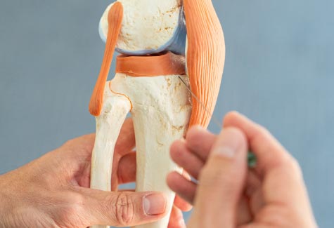 Orthopädische Untersuchung eines Kniegelenks